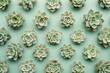 Succulent arrangement in pattern on green background, top view, flat lay, botanical composition of various succulent plants