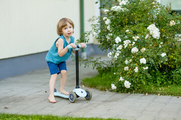 Adorable little boy riding his scooter in a back yard on summer evening. Young child riding a roller. Active leisure and outdoor sports for kids.