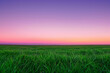 A serene pasture of vibrant green grass under a gradient sunrise sky transitioning from deep purple to soft pink, with no other features to disturb the simplicity.
