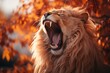 Fierce lion roaring in autumn forest