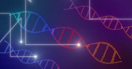 Poster - Image of dna strands spinning over white glowing lines