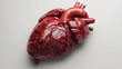 © Aleksandra - A hyper-realistic depiction of a real heart against a white background. This detailed illustration captures the intricate anatomy and texture of the heart with stunning accuracy.