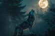 Wolf howling during full moon night in a forest