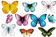 Colorful butterflies, butterfly set, watercolor, insect, isolated on white, print