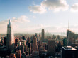 © Michael DePetris - city skyline