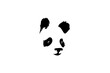 Panda bear face closeup artistic drawing isolated on white background - vector illustration