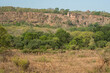 panoramic or scenic outside view of old ranthambore fort situated on hill or mountain surrounded by forest or tiger reserve in middle of ranthmbore national park sawai madhopur rajasthan india