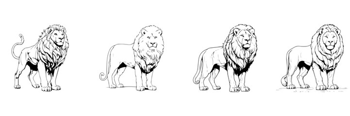 Wall Mural - Black and white sketch of Black and white sketch of lion