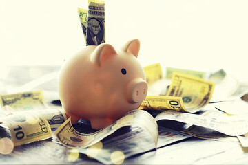 Wall Mural - 100 dollar bill and piggy bank on money background. Close up. Business, finance, investment, saving concept.
