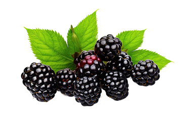 Tasty ripe blackberries and green leaves isolated on a Transparent Background. Generative AI