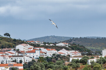 Wall Mural - White stork flying over the river Rio Guadiana at Mertola, Algarve, Portugal.