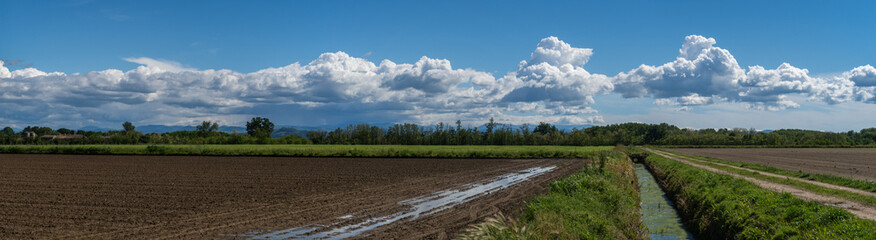 Po Valley fields field landscape vision detail cultivation