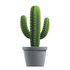 Sticker - Cactus in pot clipart icon