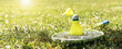 © Barillo_Images - Badminton racket and shuttlecock on the green lawn in the city park. Summer sports activity.