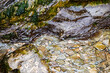 Stream in the mountain