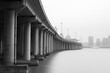 A close-up of the Guangzhou-Shenzhen Expressway Cross-sea Bridge.