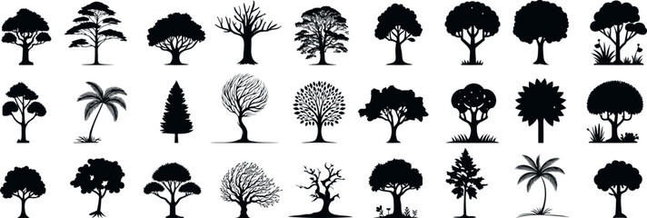 Wall Mural - tree silhouette, diverse tree species vector illustration. stunning black and white graphic design, 