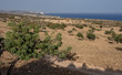 View of the Meland plateau, above  Melanda Beach, adjacent east of Pissouri Bay and Pissouri Village, Limassol, Cyprus