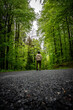 forest, road, green, landscape, nature, street, man walk on a forest road