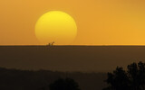 Fototapeta  - Silhouette of excavator on quarry dump with sunset in background