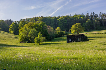 A magical spring atmosphere, an extremely beautiful green field