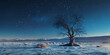 Lonely dried plant tree winter with snow realistic desert landscape starry night time dark blue night sky full stars small cocas in blurred background