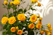 Bouquet of yellow roses in a glass vase. Flowers for the holiday. Decorations and ideas for home, parties and celebrations. Selective focus