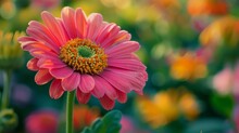   A Pink Bloom With A Green Core Amidst A Backdrop Of Yellow, Pink, And Orange Blossoms