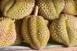 Durian-Frucht auf einem Marktstand