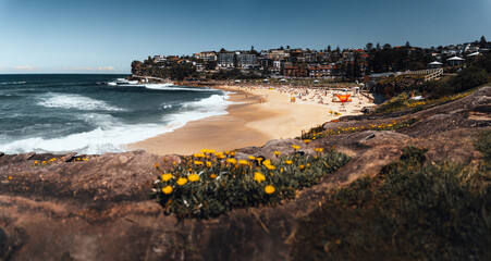 Wall Mural - landscape nature of cliff with ocean at royal national park coastal walk in sydney nsw australia - n