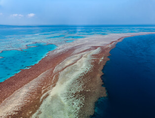 Wall Mural - aerial view of great barrier reef coral reef structure in whitsundays, aerilie beach, queensland, au