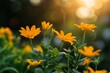 © ChaoticMind - Golden yellow flowers elegantly bloom against the backdrop of soft-focused green leaves bathed in warm sunlight