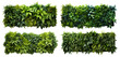© Yeti Studio - Set of green garden walls from tropical plants, cut out