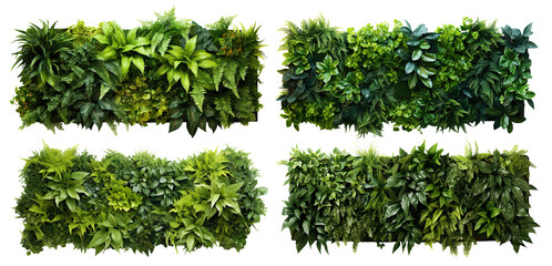 Wall Mural - Set of green garden walls from tropical plants, cut out