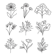 Wall Mural - set of linear icons of flowers and plants, vector illustration.