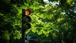 signal green stop light