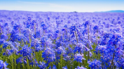 Poster - azure background blue summer