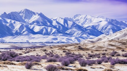 Poster - snow purple mountain