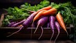 beet purple vegetable