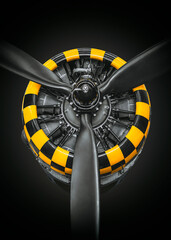 Wall Mural - radial engine of an historical aircraft