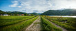 Panorama of the village of Porąbka seen from the walking path along Lake Czanieckie. Spring in the Beskid Mały Mountains. The bridge in the distance. A fragment of the blue tourist trail