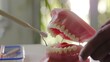 Dental hygiene class, close-up of dentist demonstrating proper brushing on model, clear lighting 
