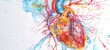 A colorful watercolor illustration of an anatomical heart with its veins and pathways, set against a white background