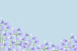 Sweden National flowers harebell (Campanula rotundifolia)  purple Liten blåklocka, blåklocka on blue background border frame for Sweden National  festival decoration vector illustration .
