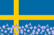 Flag of Sweden background decoration with flowers Campanula rotundifolia or harebell ( Liten blåklocka, blåklocka) background border frame for Sweden National festival vector illustration.  
