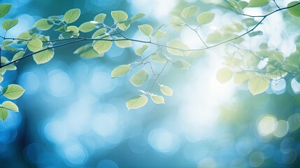 Canvas Print - magical light blue bokeh