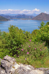 Wall Mural - Beautiful summer landscape. Montenegro, view of Skadar Lake National Park and Lake Skadar