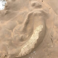 footprint in sand