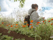 A woman with a backpack walks through the garden and looks at the orange flowers.