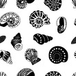 Seamless pattern with shells drawn in linear black and white style.